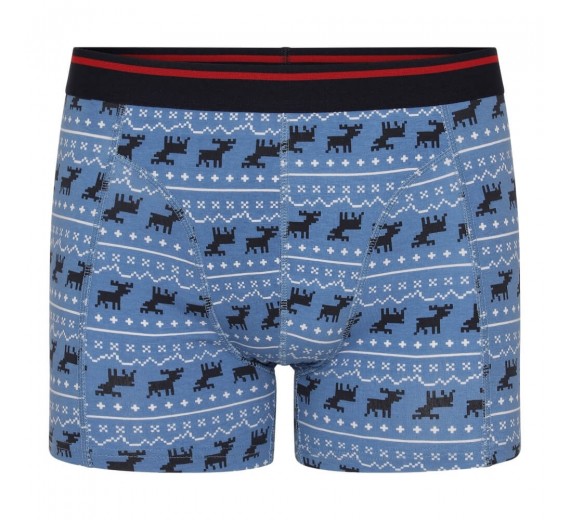 4parjuleboxershortsiadventskalenderStrXL-01