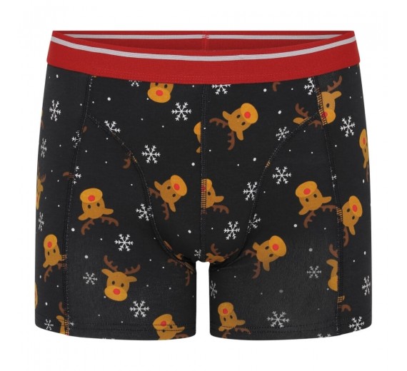 Jule-boxershorts Rudolf